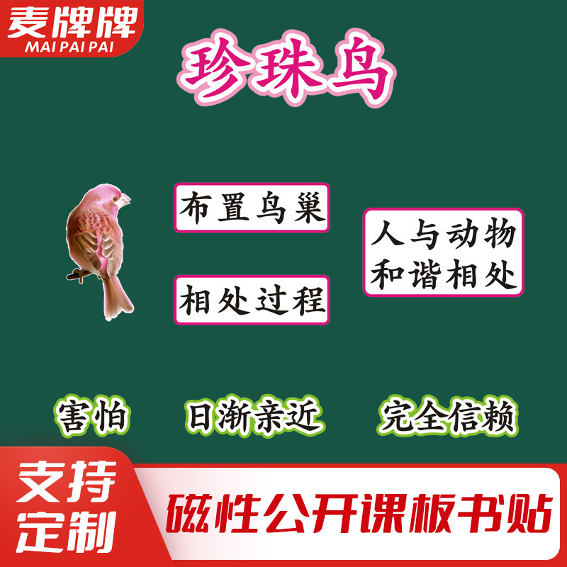珍珠鸟五年级语文上册老师公开课板书磁性贴黑板教具定制板书