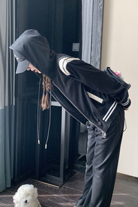 套装 现货  新款秋季套装宽松休闲两件套女  D2311款P165K228图片