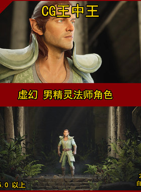 UE5虚幻5中世纪男性魔法师精灵NPC素材影视级古代异世界人物动画