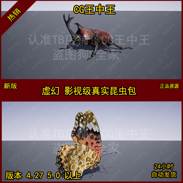 CG王中王影视级真实昆虫蜘蛛蝴蝶蜻蜓犀牛甲虫动画模型UE4虚幻5