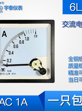 6L2B AC1A交流电流表指针式仪表80mm电磁系1000mAZ指针cp80 be80