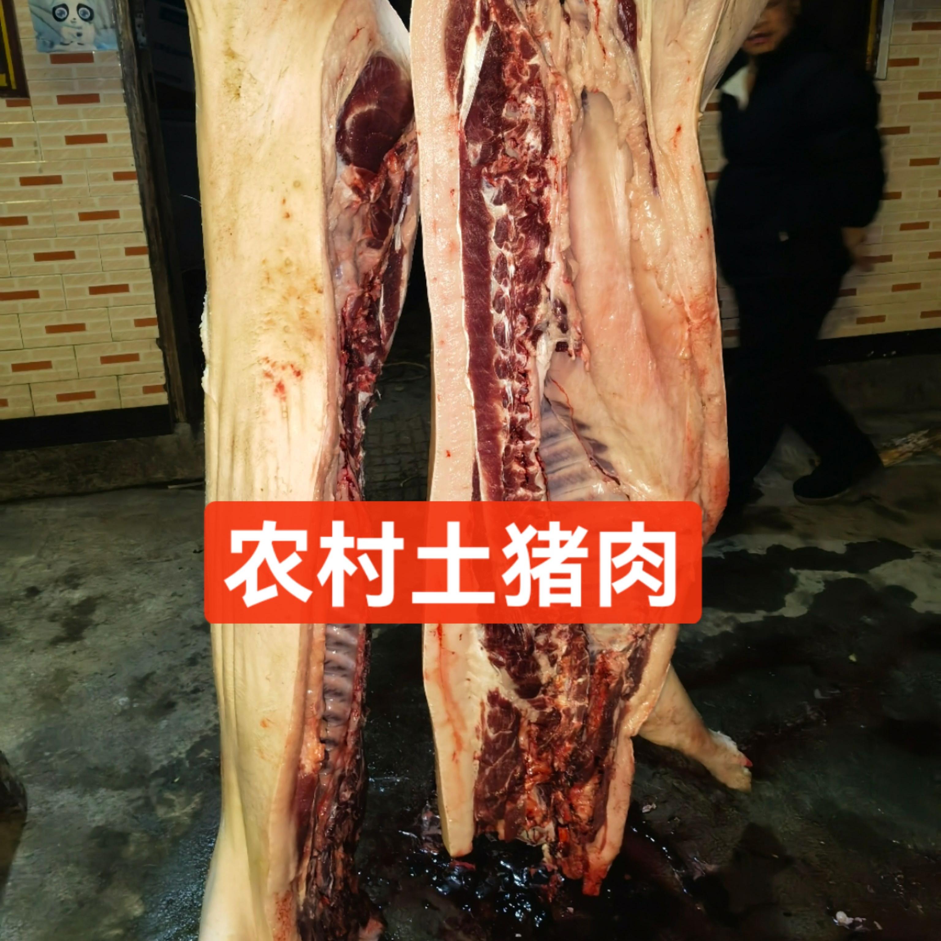 农村代购新鲜土猪肉正宗土猪农家饲养粮食猪