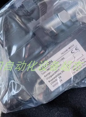 NEXON PN3000/BO25P21G14MS压力传感器BLOCK PVSE 230/24-20电源