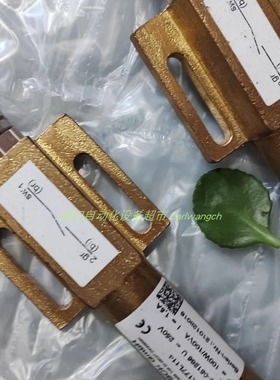 WK008K2141磁感应限位开关TIEFENBACH马达ROTEK SVM65/42-4 A7,5