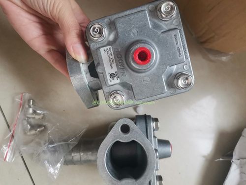 RCAC25FS4012阀正品GOYEN