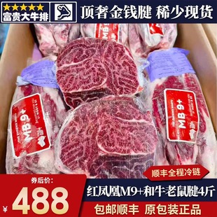 金钱腱B腱老鼠腱芯牛腱子原切炖煮牛肉 4斤澳洲m9红凤凰m9 包邮