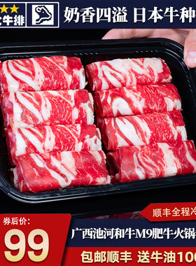 包邮10盒广西河池m9肥牛火锅卷和牛寿喜烧奶香原切谷饲霜降雪花餐