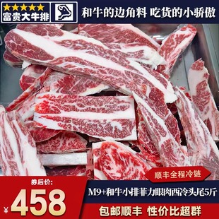 包邮5斤澳洲m9+和牛雪花眼肉牛小排西冷菲力头尾边角料口粮原切谷