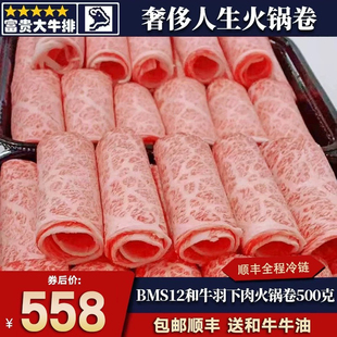 包邮澳洲BMS12和牛羽下肉火锅卷500克原切雪花寿喜烧非A5 m12牛肉