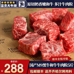 包邮5斤国产黑牛谷饲和牛m9原切牛肉粒牛腩雪花霜降奶香烧烤烤肉