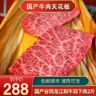 包邮2斤国产龙江和牛雪花羽下肉牛排原切谷饲新鲜牛小排烧烤牛肉