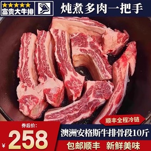 包邮10斤澳洲谷饲安格斯牛排块牛肋排牛排骨烧烤烤肉炖煮原切牛肉