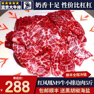 包邮5斤澳洲红凤凰m9牛小排边肉奶香和牛烧烤肉清真雪花原切牛肉