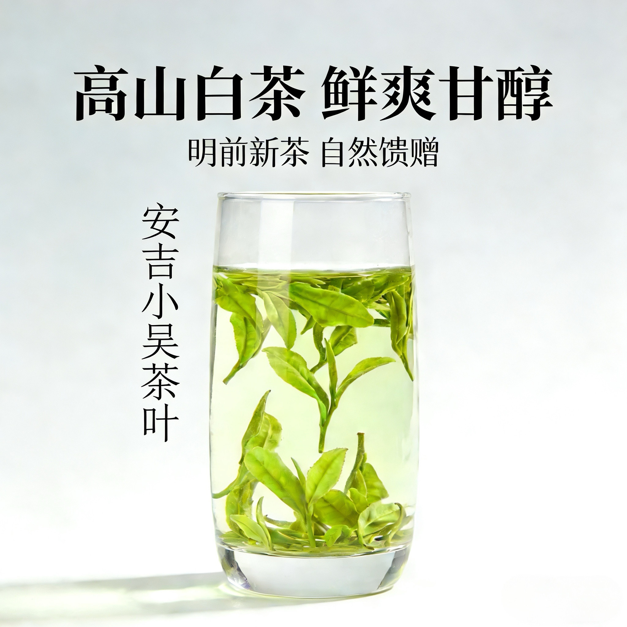 浙江安吉高山白茶2026年新茶原产地高山云雾绿茶罐装浓香耐泡春茶