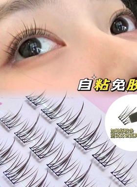 分段太阳花自粘无需胶水假睫毛