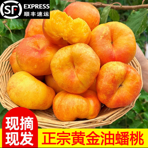2026蒙阴黄金油蟠桃新鲜水果当季黄心油桃脆桃扁桃孕妇桃彩虹蟠桃