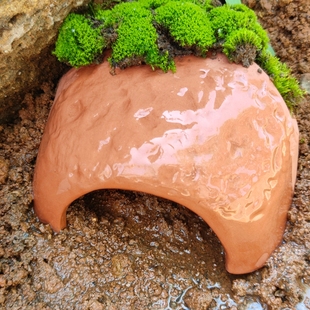 黄缘龟爬宠安缘专用造景躲避屋 萌宠天然型保湿蓄水陶土直角洞穴