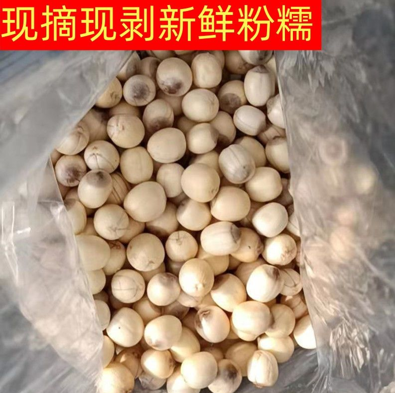 新鲜红莲现剥去壳红莲子纯莲米带芯现摘现发当季新鲜湘莲粉糯好煮