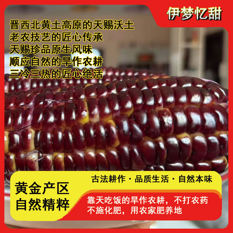 伊梦忆甜巧克力黑甜糯玉米头茬