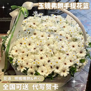 非洲菊玉镜华沙弗朗巨型手提篮鲜花同城速递送女友闺蜜礼物北京店