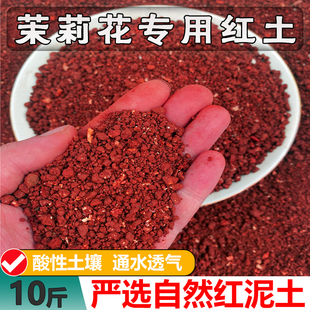 茉莉花土专用土红土微酸弱酸性土铁元素丰富红泥土盆栽盆景盆栽土