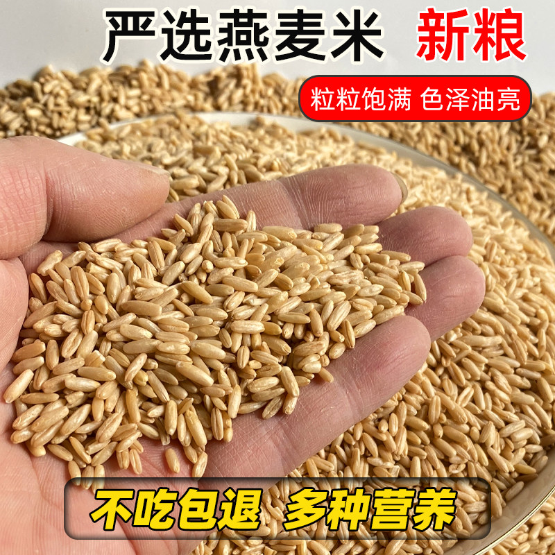 燕麦米鹦鹉粮虎皮牡丹玄凤中大型鹦鹉燕麦鸟食饲料小太阳和尚鸟粮