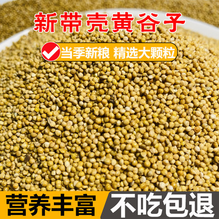 新黄谷子带壳小米鸟粮牡丹虎皮玄凤食物中小型鹦粮鹉饲料5斤包邮