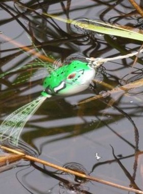 龙腾路亚VMC雷强雷蛙双须倒刺响珠双钩青蛙12g 黑鱼路亚饵仿真蛙
