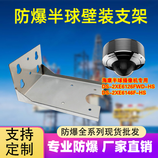 吊装 3127半球壁装 2701吸顶支架 2XE6126FWD 防爆半球支架不锈钢DS
