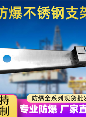 不锈钢防爆支架海康DS-1707ZJ-E同款壁装支架DS-2DB4220I-CX专用