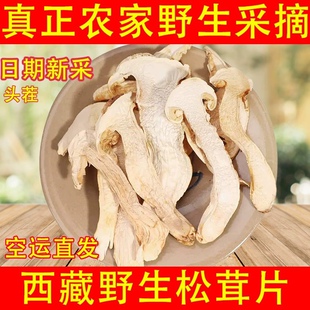 西藏林芝松茸干货波密县野生松茸农家自采自治区直发野生500g