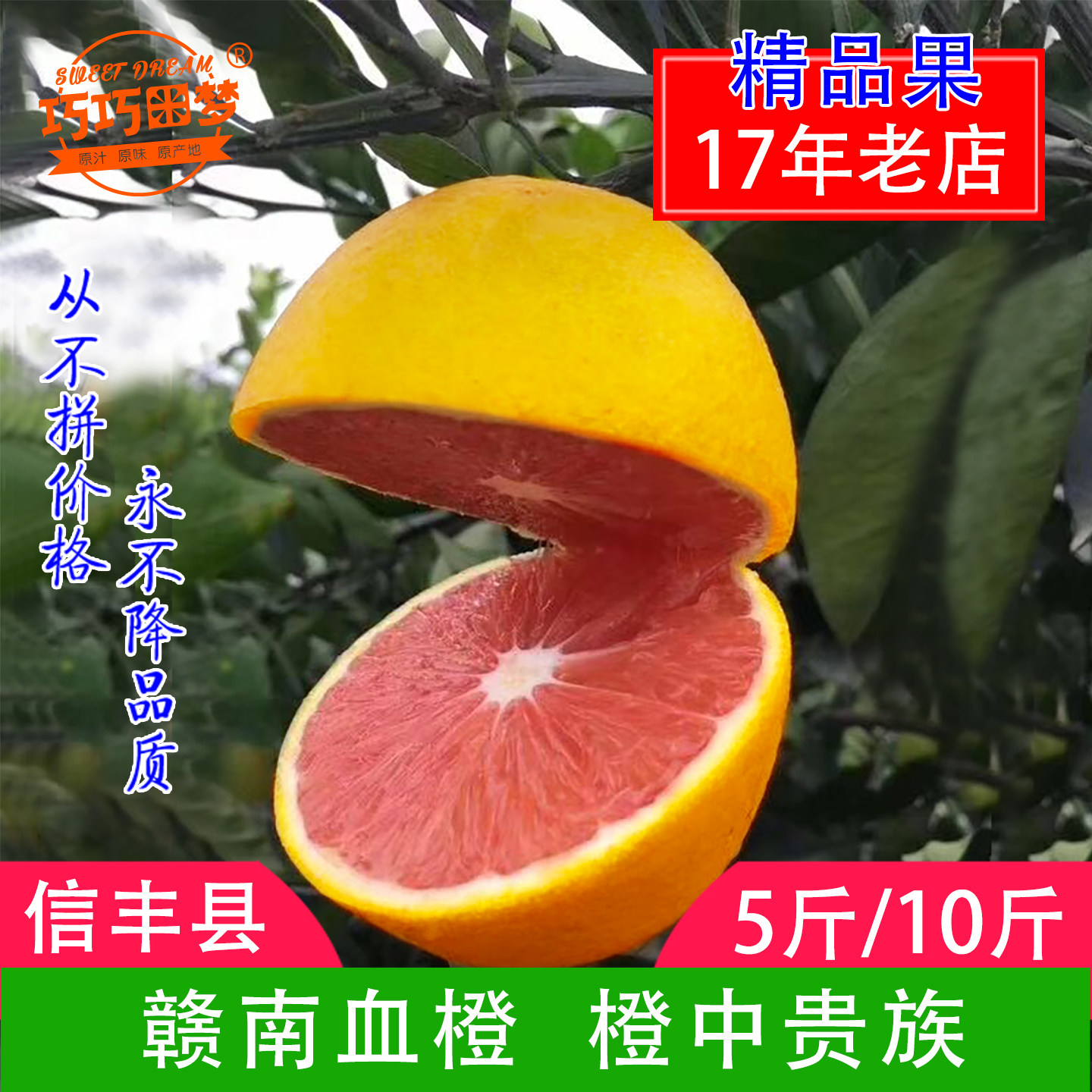 信丰巧巧赣南血橙红肉脐橙