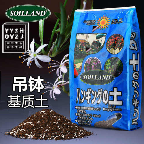 家用垂吊植物土吊钵土常青藤佛珠土鸭舌吊兰长藤绿萝土铁线蕨土