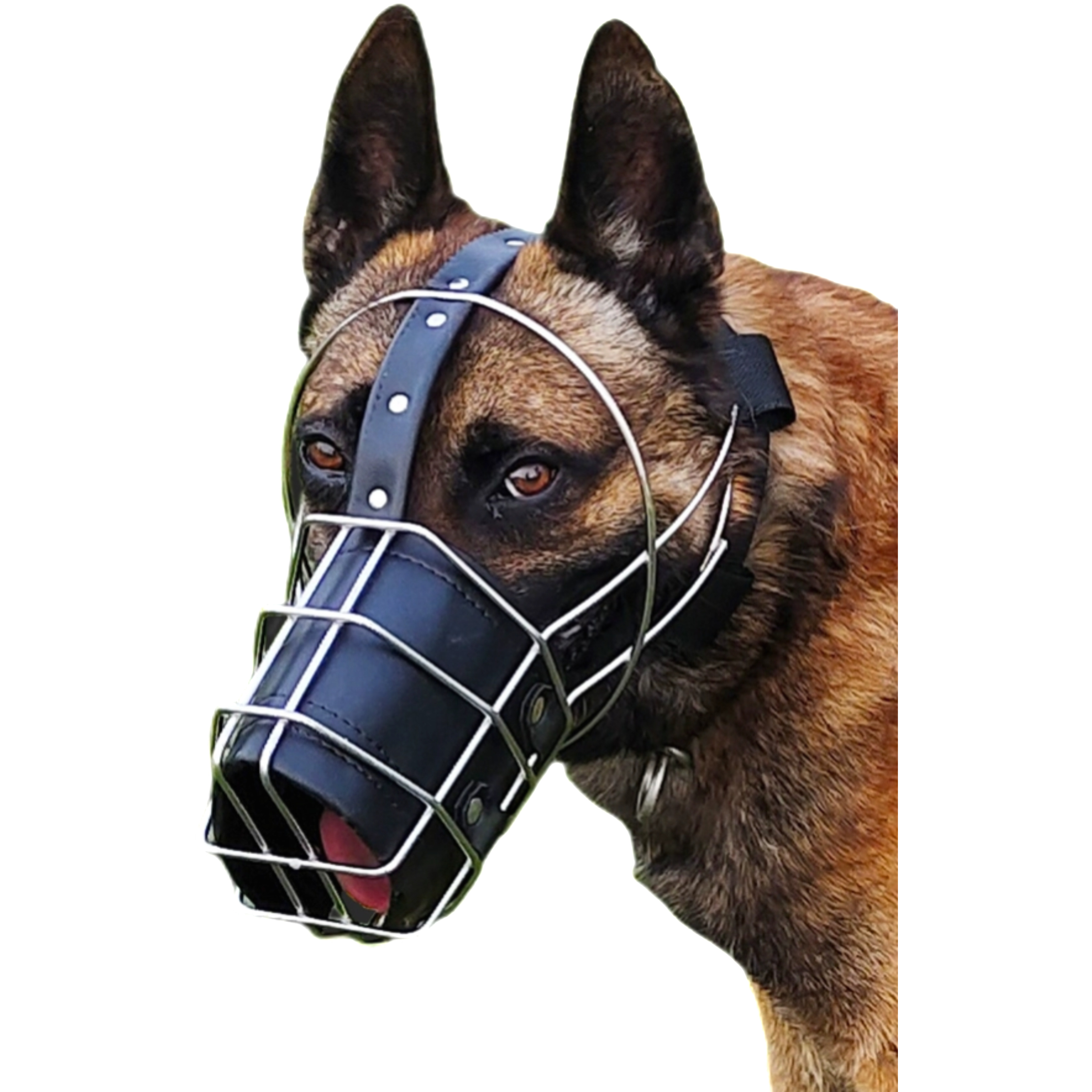 大型犬不锈钢头嘴一体防乱咬嘴套