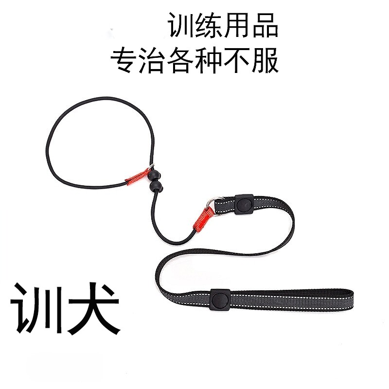 遛狗黑色训犬p绳窒息绳
