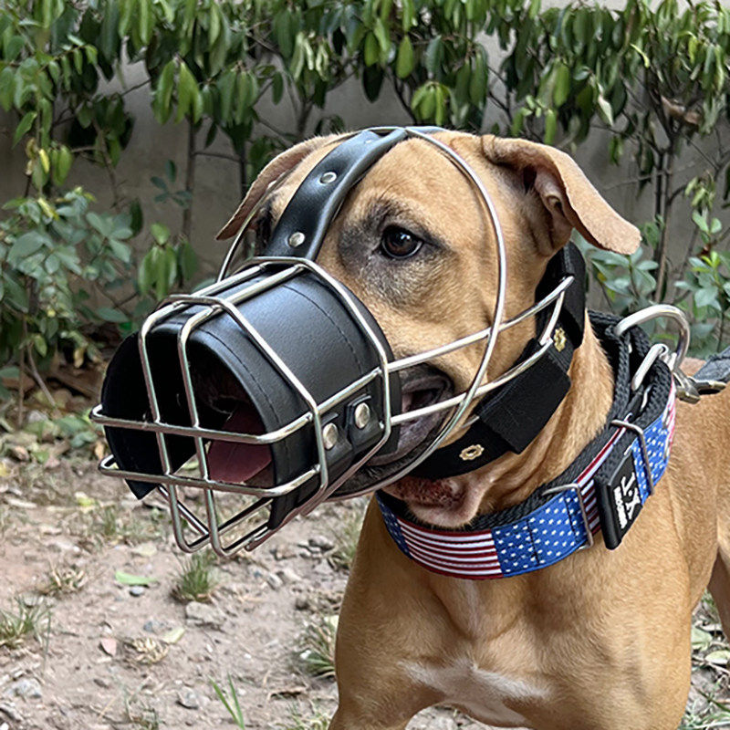 猛犬不锈钢比特犬杜高狗嘴套嘴罩防咬大型犬藏獒中亚德牧口笼口罩