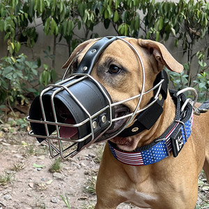 不锈钢防乱咬大型犬比特犬狗嘴套