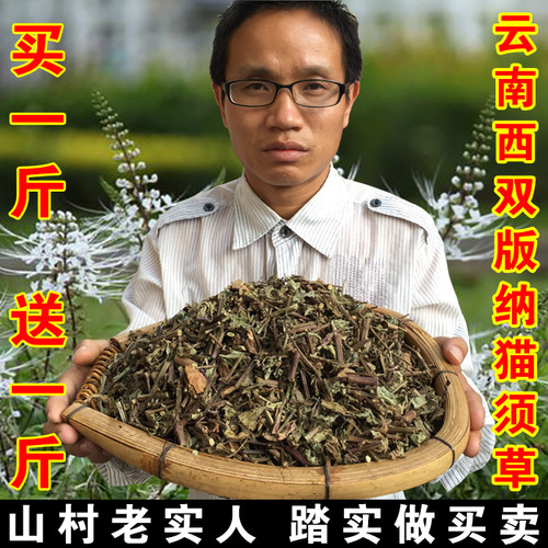 云南西双版纳非野生猫须草 猫须公降酸草 别名化石草买500g送500g - 封面