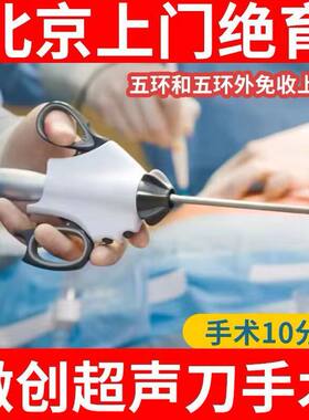 北京猫绝育母猫绝育手术 公猫绝育宠物医生团队上门送伊丽莎白圈