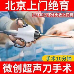 北京猫绝育母猫绝育手术 公猫绝育宠物医生团队上门送伊丽莎白圈