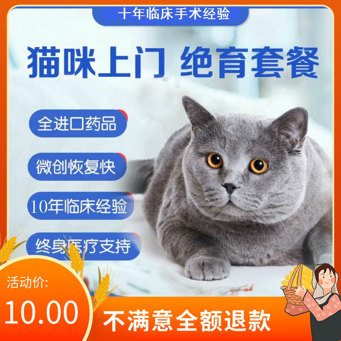 北京猫绝育母猫绝育手术 微创免拆线 公猫绝育宠物医生团队上门