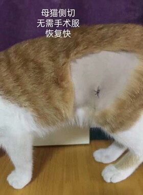 绝育小伤口无需手术服恢复快
