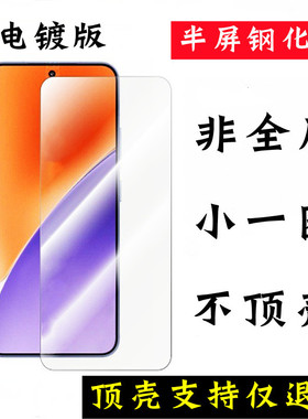 适用vivoX100S钢化膜非全屏无孔无边半屏x200s手机X300pro不包边S15贴不顶壳X200promini半包边无黑边小一圈