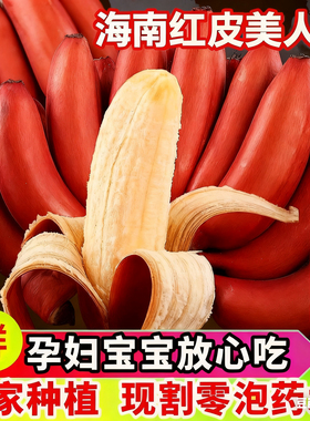 【顺丰京东】海南红美人香蕉咖啡蕉整箱10斤当季水果红紫皮香蕉