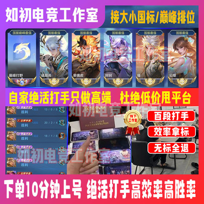 王者荣耀国服代练大小国标省市标排位巅峰小魔方百星陪玩线下车队