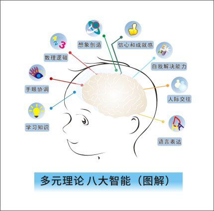 770儿童大脑发育多元理论八大智能图解1422写真海报定印制展板