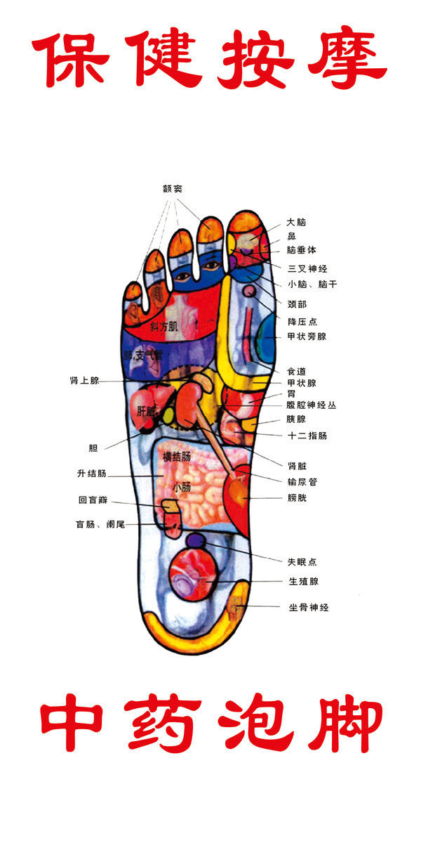 569薄膜海报印制展板喷绘写真126脚底穴位图