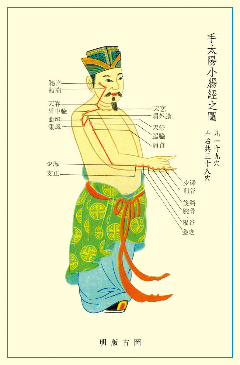 569薄膜海报印制展板喷绘写真237手太阳小肠经穴位图