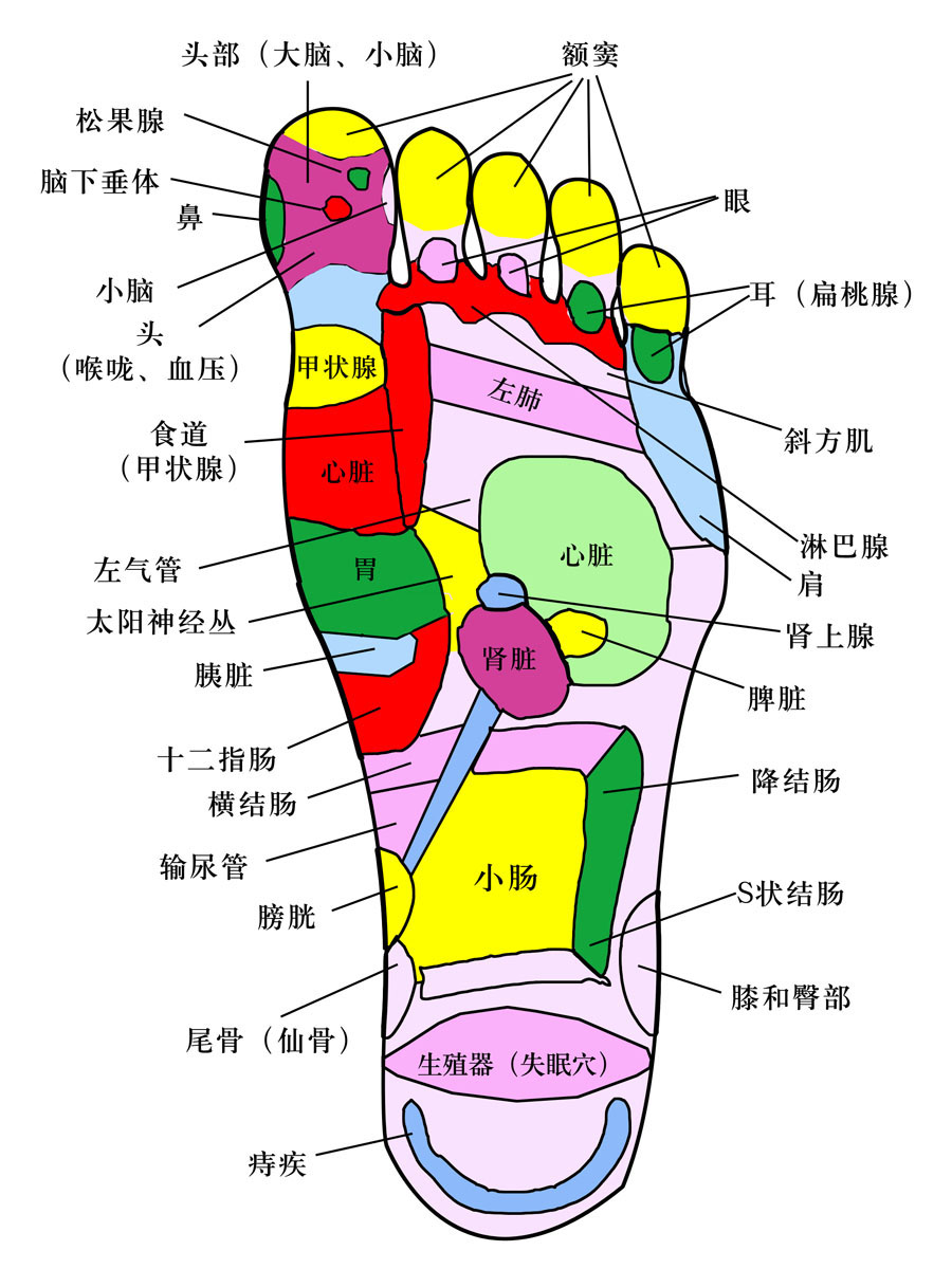 569薄膜海报印制展板喷绘写真17脚部穴位图