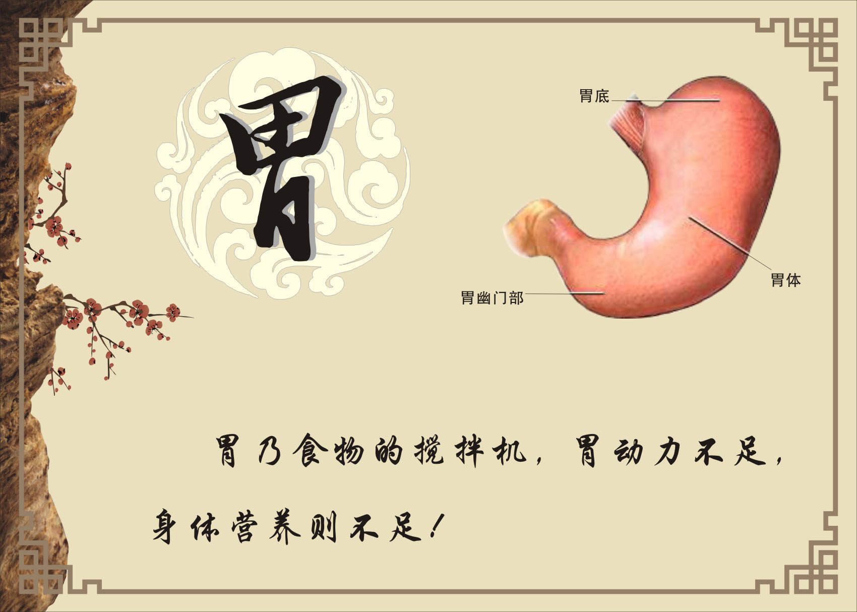 733画布海报展板印制素材贴纸13中医养生五脏保养5胃